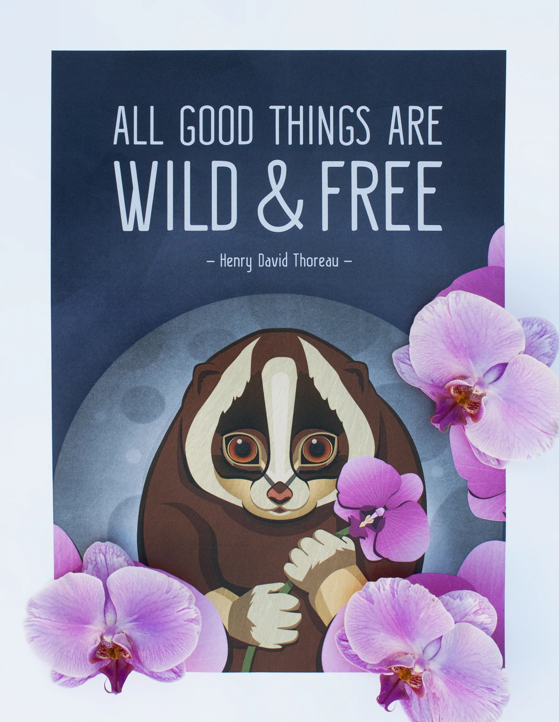 slowloris_final_white.jpg