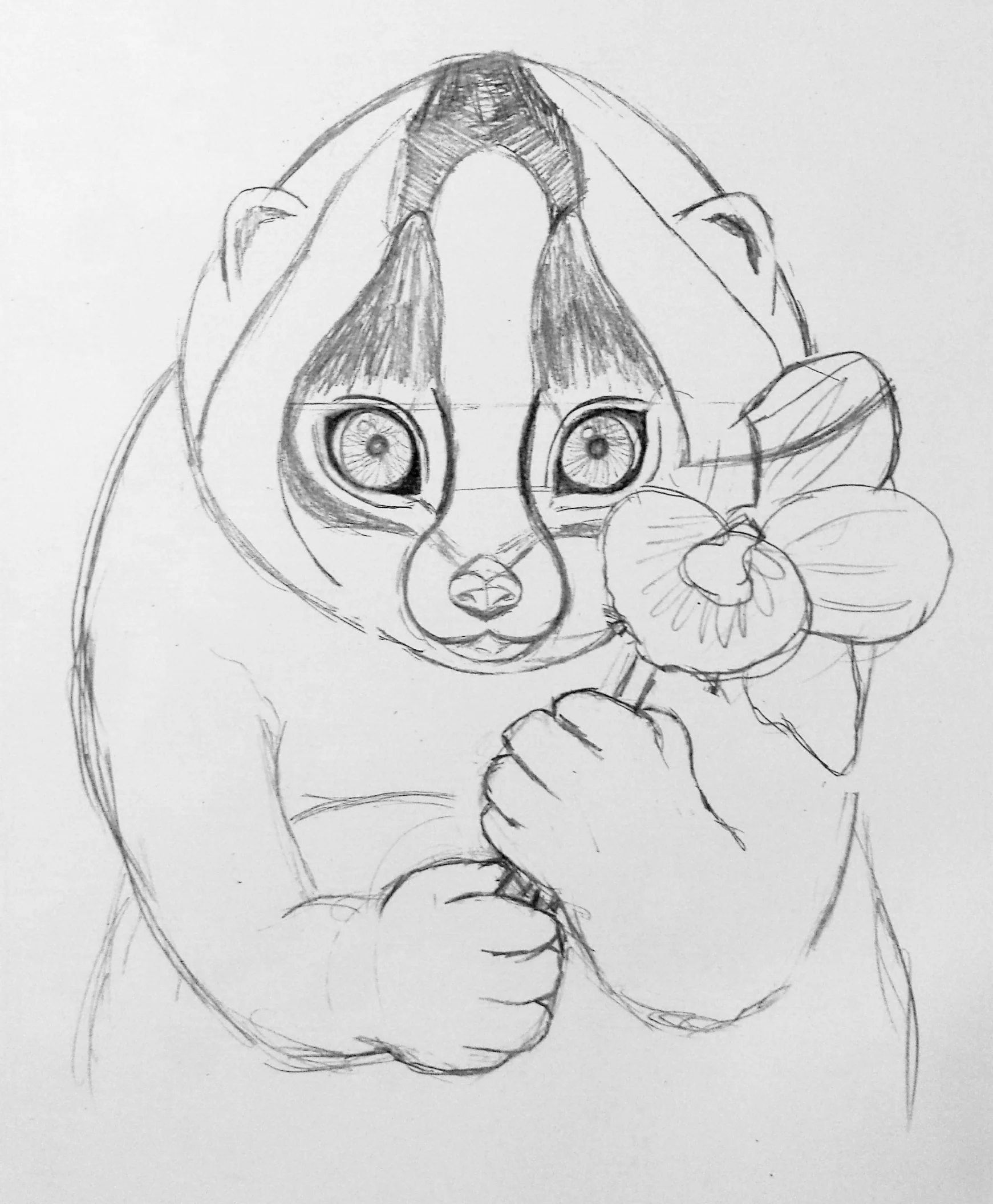 sketch copy.jpg