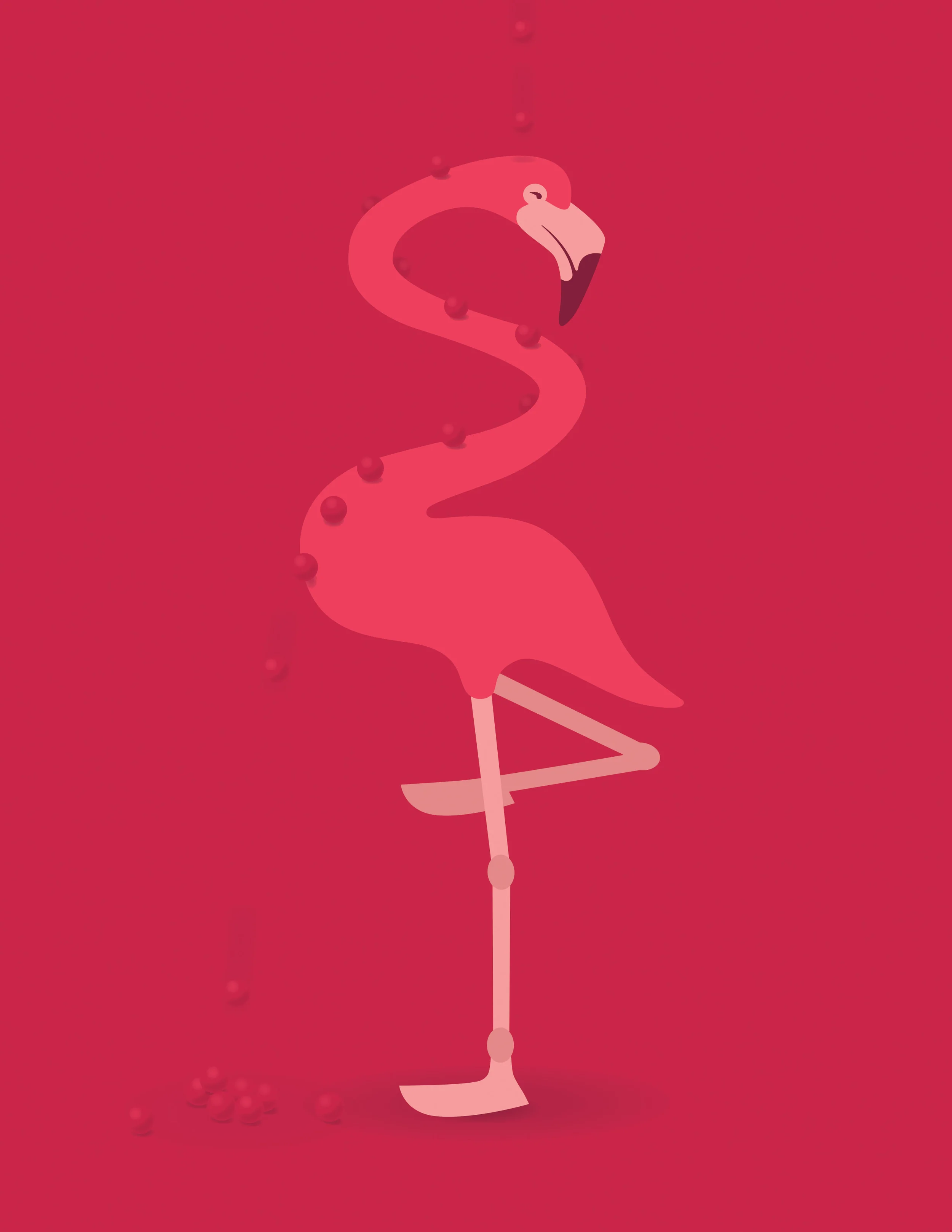 flamingo.jpg