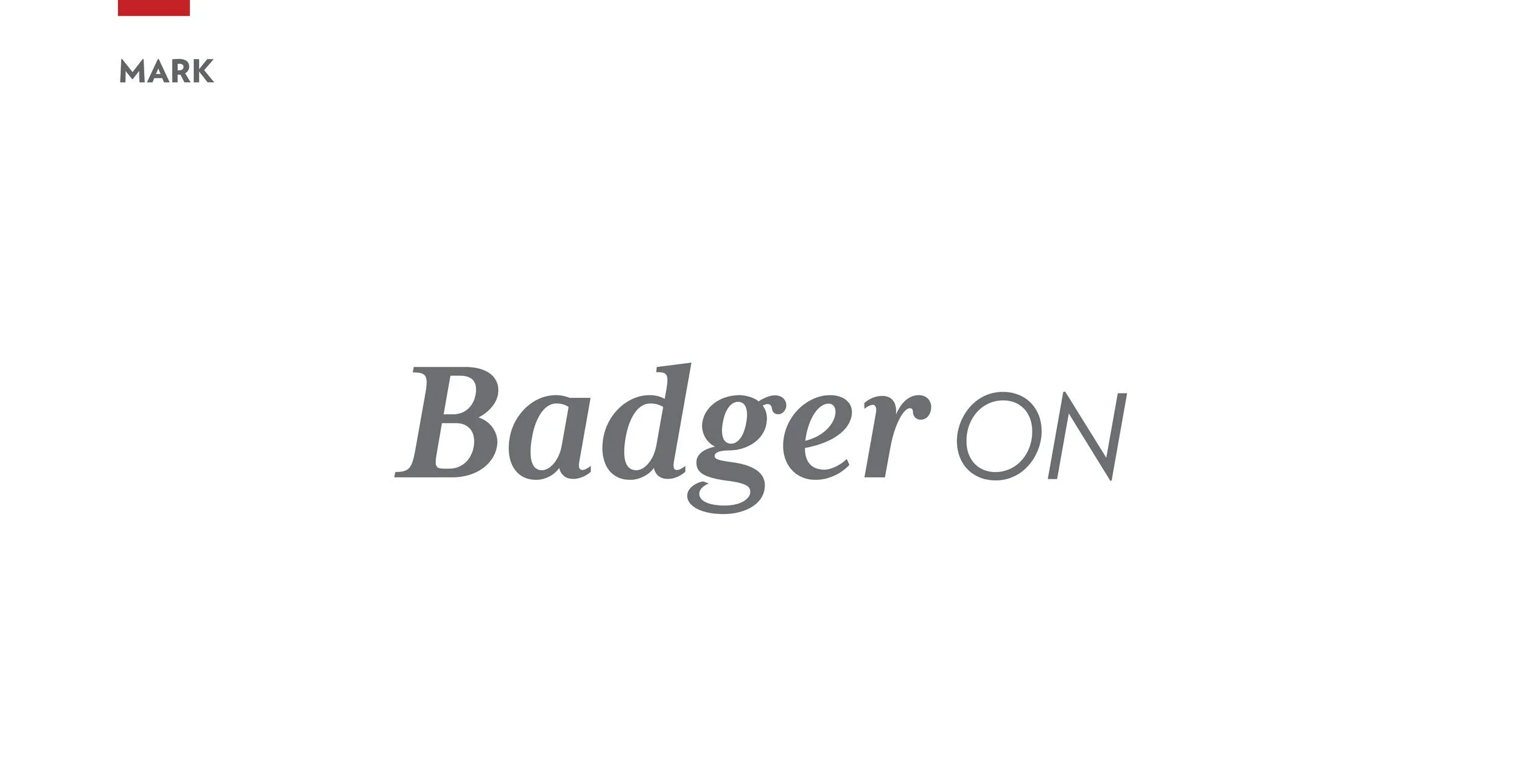 WAA_BadgerOn_ARE_Presentation11.jpg
