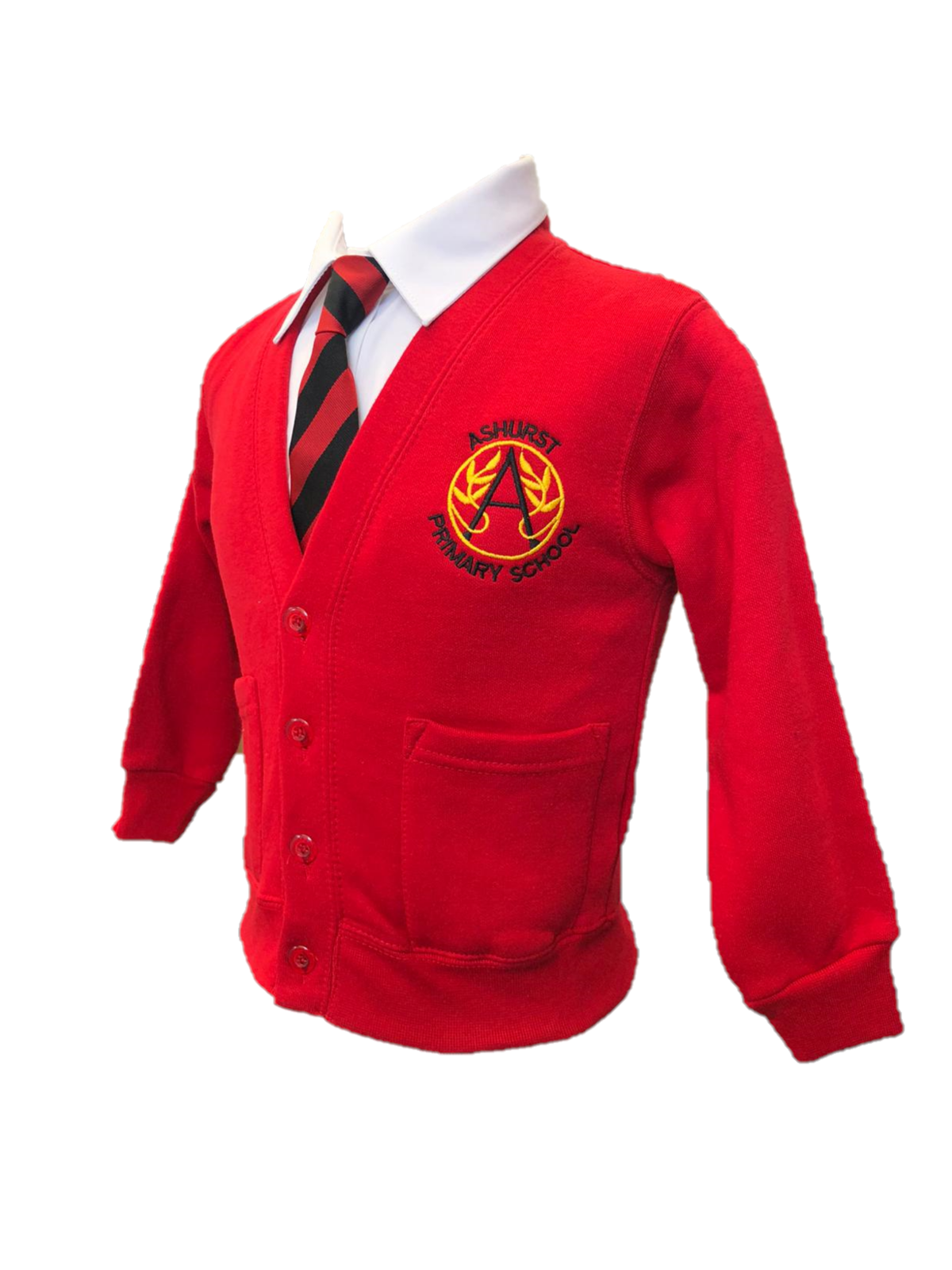 ashurst primary cardi .png