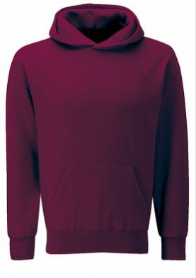 burgundy hoody.jpeg