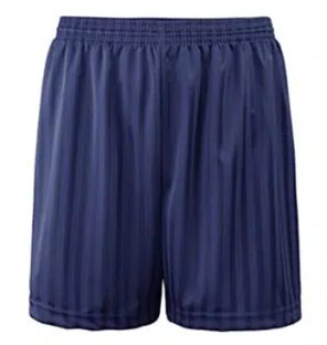 navy stripe shorts.png