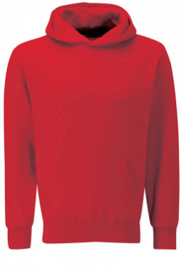 Broad Oak Primary hoodie, with Logo