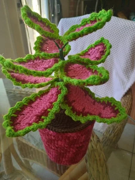 Crochet Pink & Green Plant