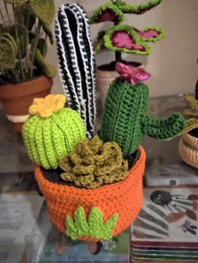 Crochet Cactus Garden