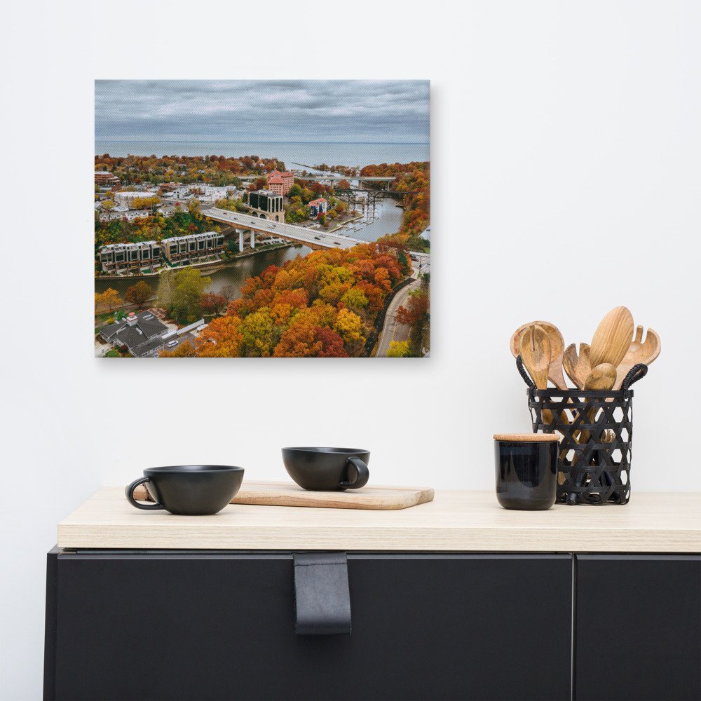 canvas-(in)-16x20-front-619515d05dd9d.jpg