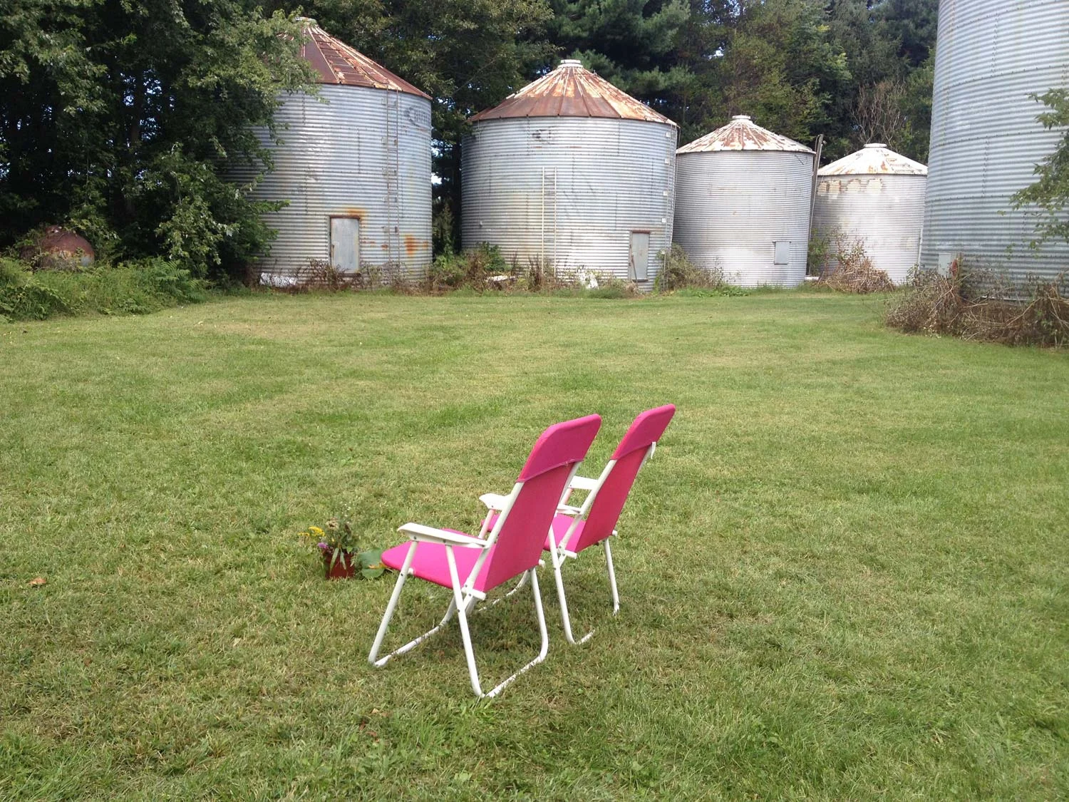 Clifford and Lisa Lee Peterson share the artistic, administrative, and practical responsibilities of Taleamor Park.Clifford has lived on and off the farm that is now home to Taleamor Park since 1950. With degrees from Harvard in visual studies, Notr…