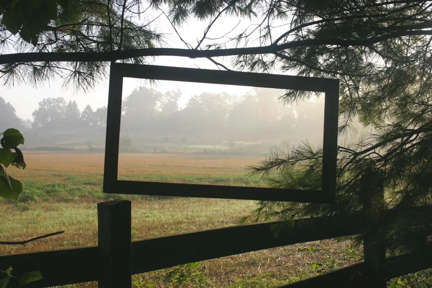 framed landscape in the windbreak