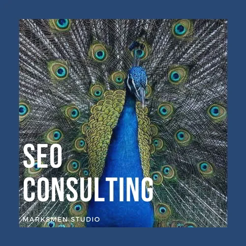 Squarespace SEO Consulting.jpg
