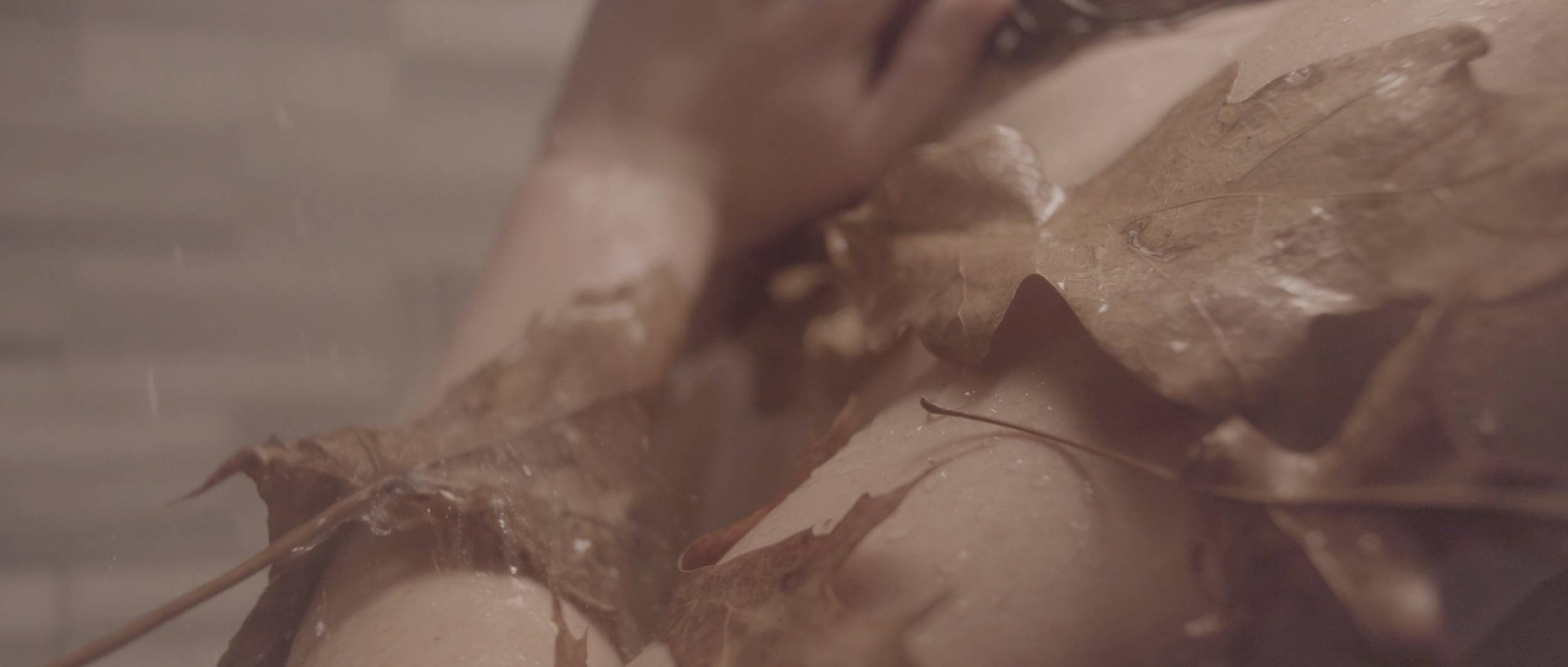 Shower_Still3.png