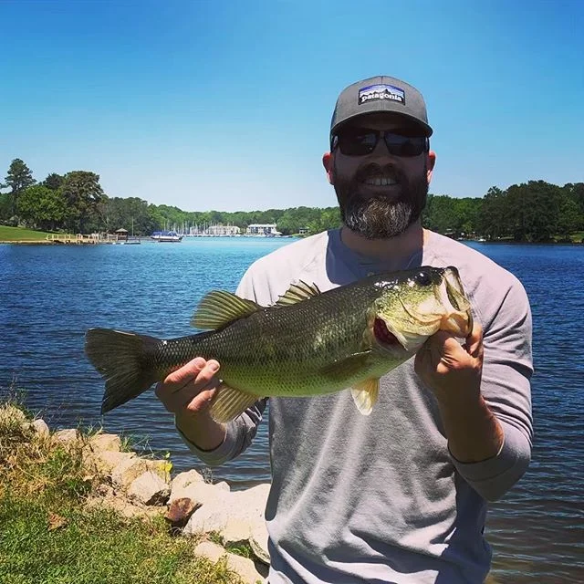 Another beautiful bass on #lakemurraysc #windwardfishing #largemouthbass