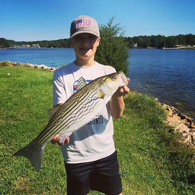 Great day on #lakemurray #striperfishing #windwardfishing