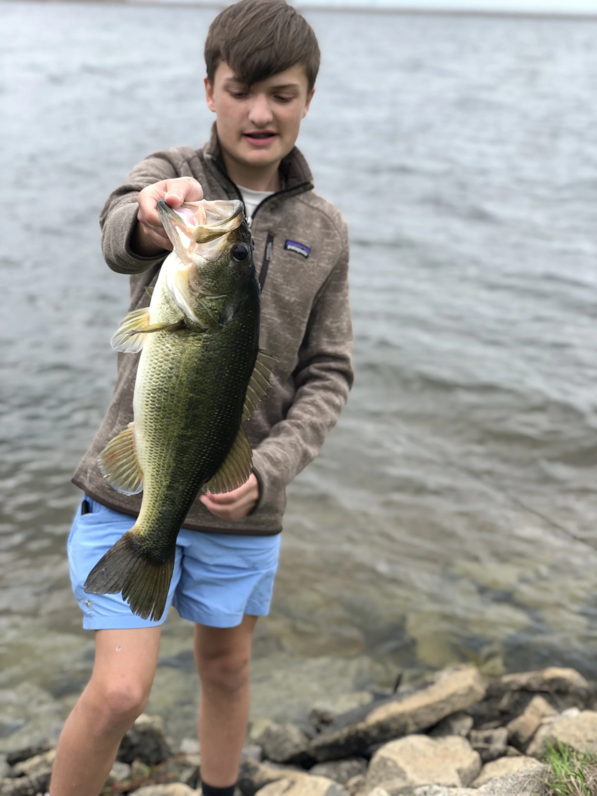 Large_Mouth_Bass_SC.jpg