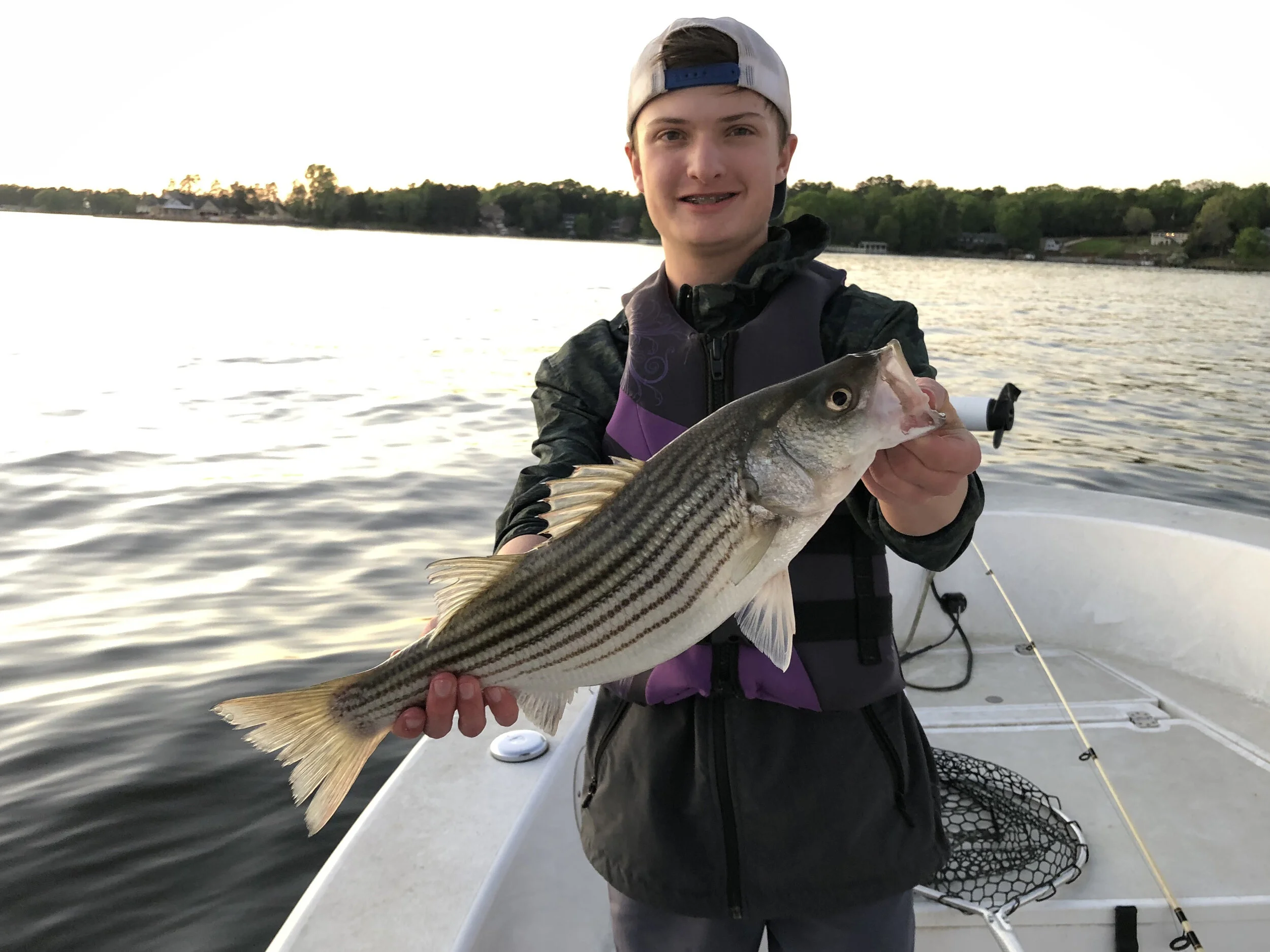 Striped_Bass.jpg