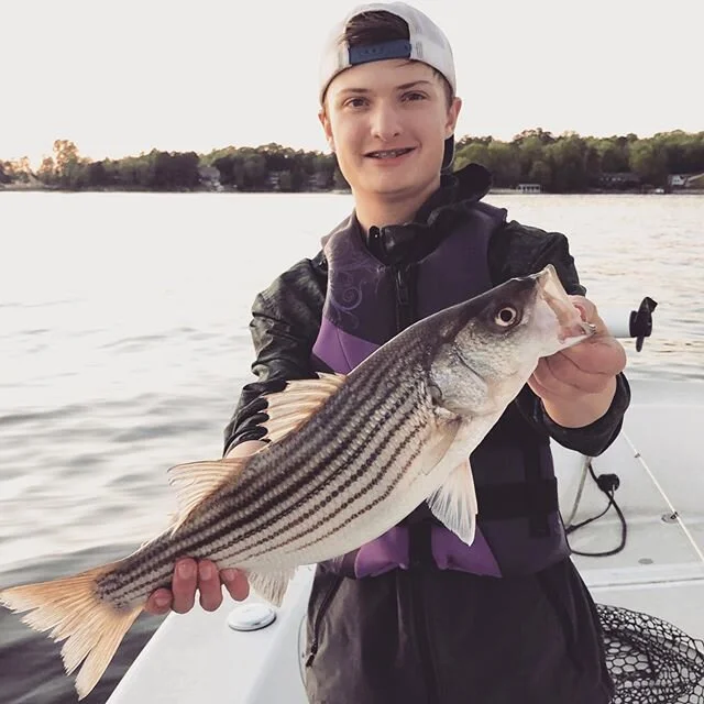 #stripedbass