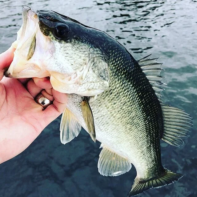 Top water catch before the storm!