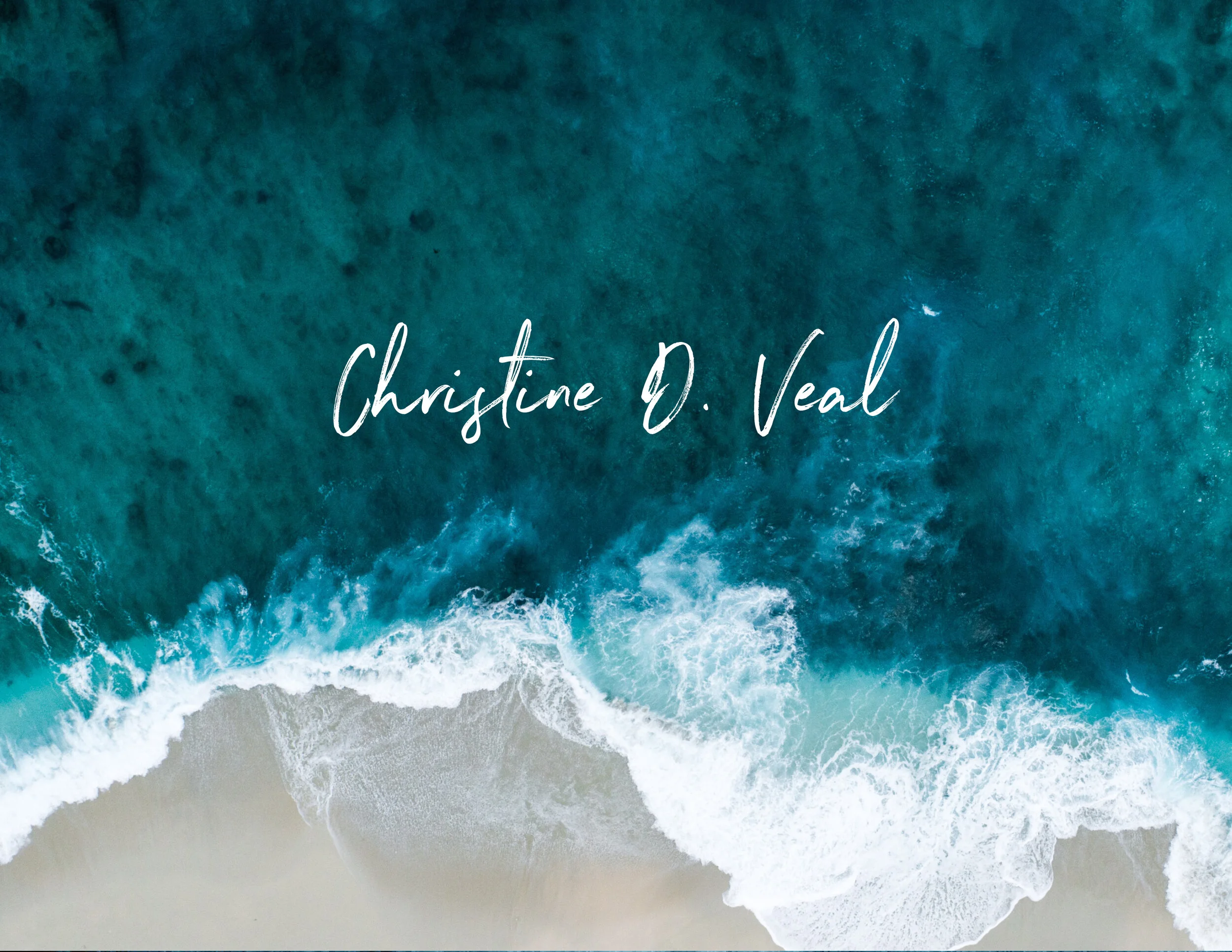 Web Portfolio of Christine V..jpg