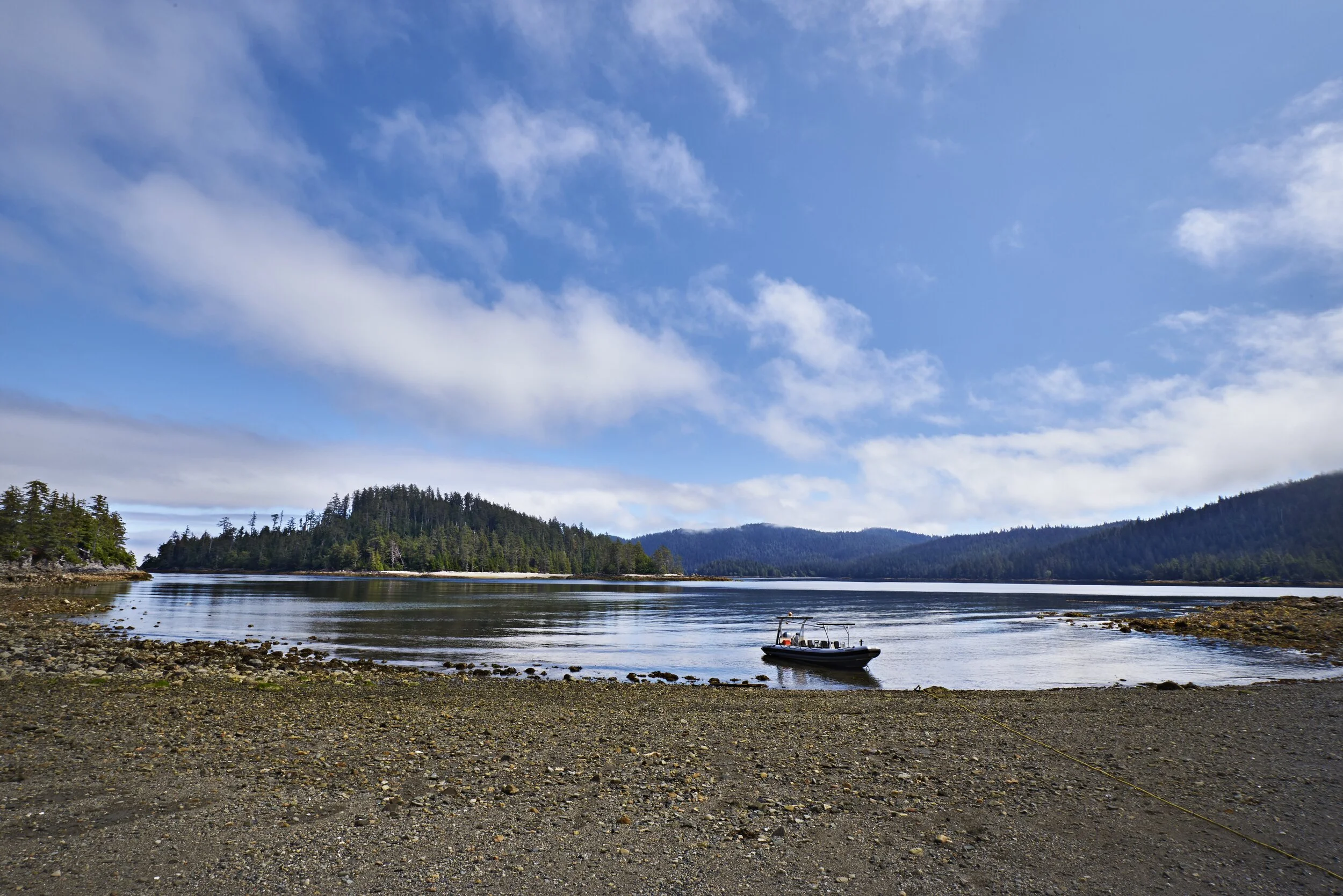 DS1_7502_V1 copy.jpg