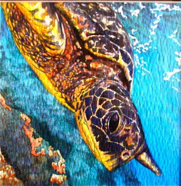 SEA TURTLE