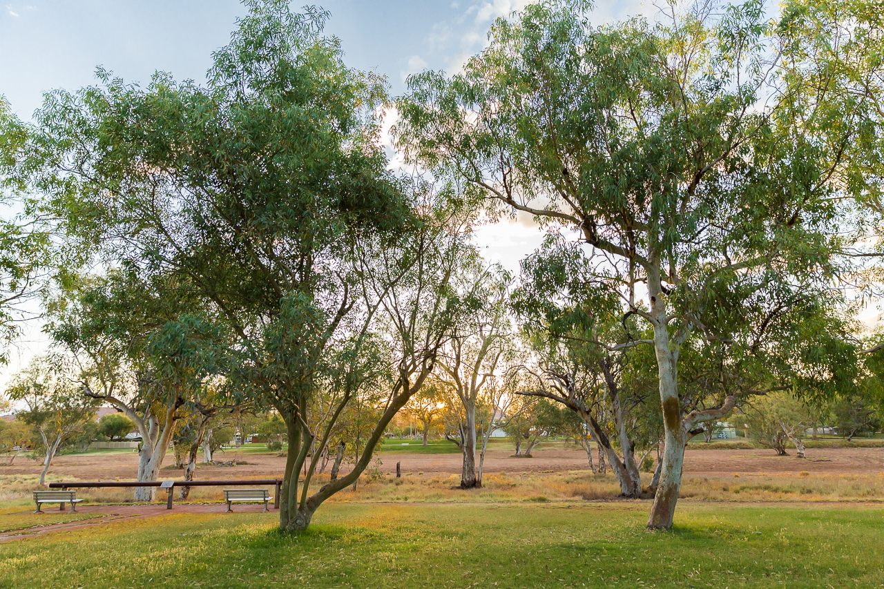 The stunning view directly across the Todd River at dusk