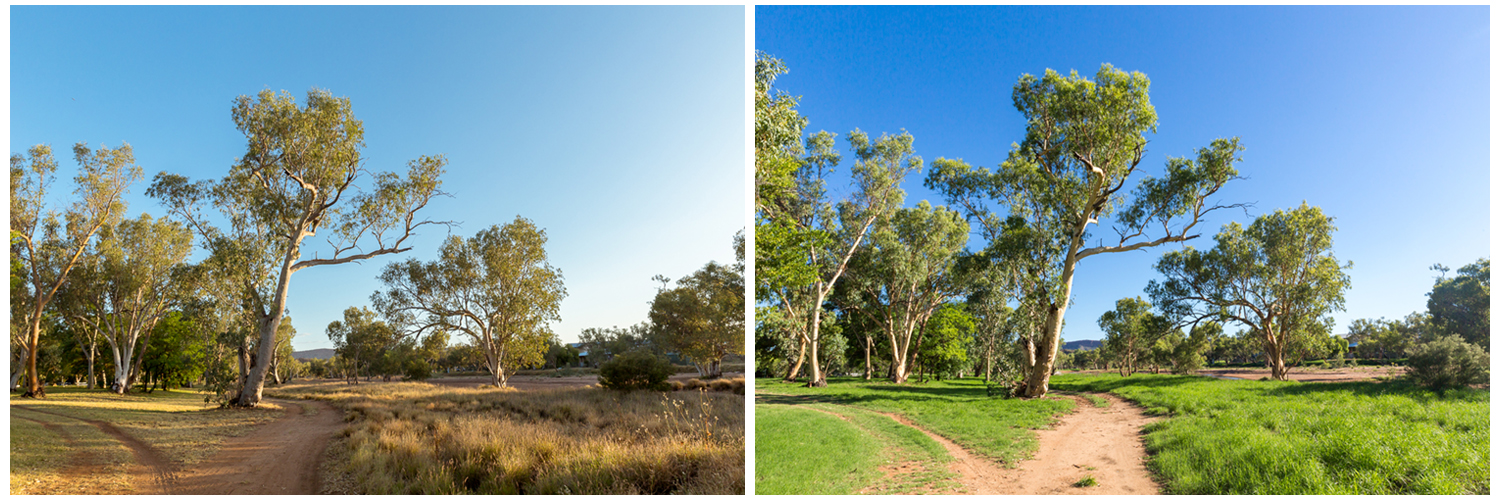 Left: Taken on November 8 2016 at 5.30pm. Right: Taken on January 3 2017 at 5.30pm