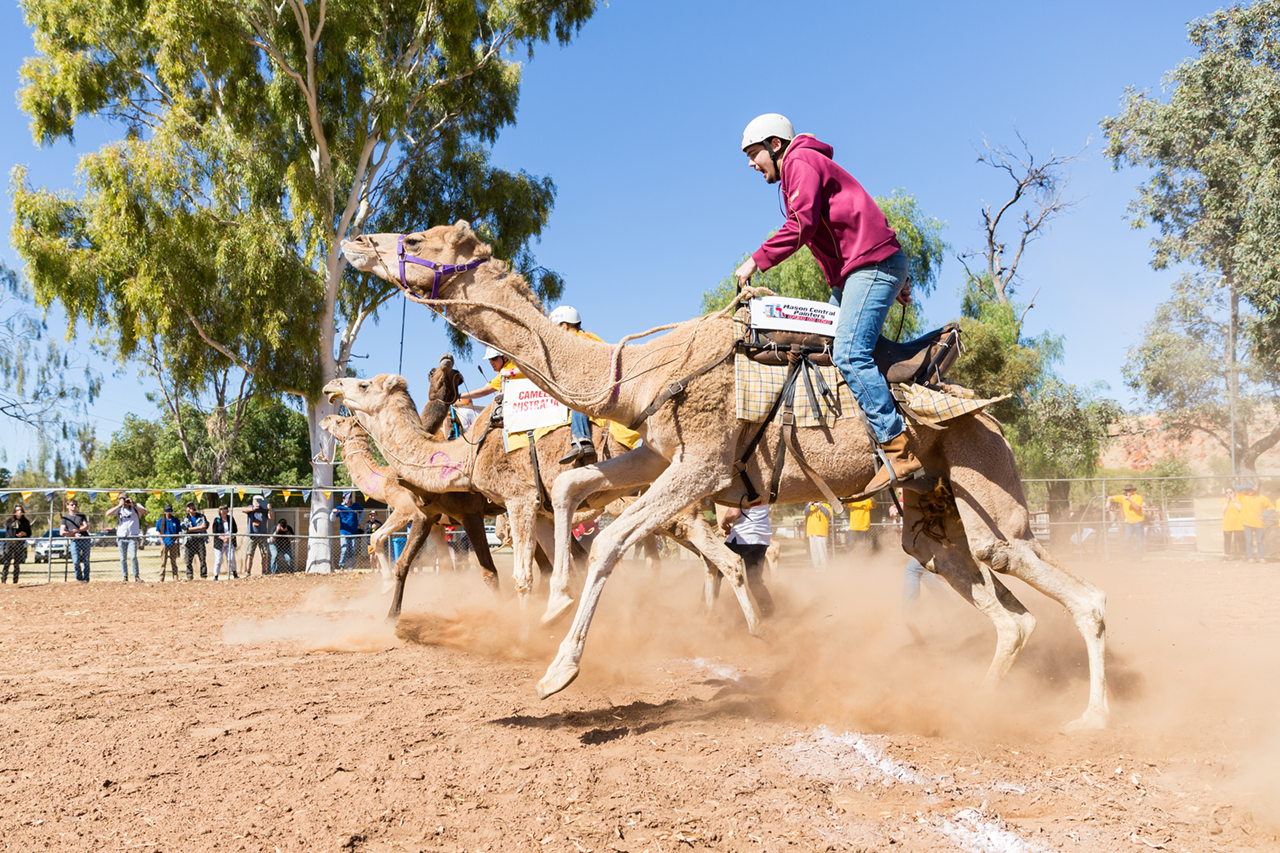 And they're off! From this moment on I was covered in dust