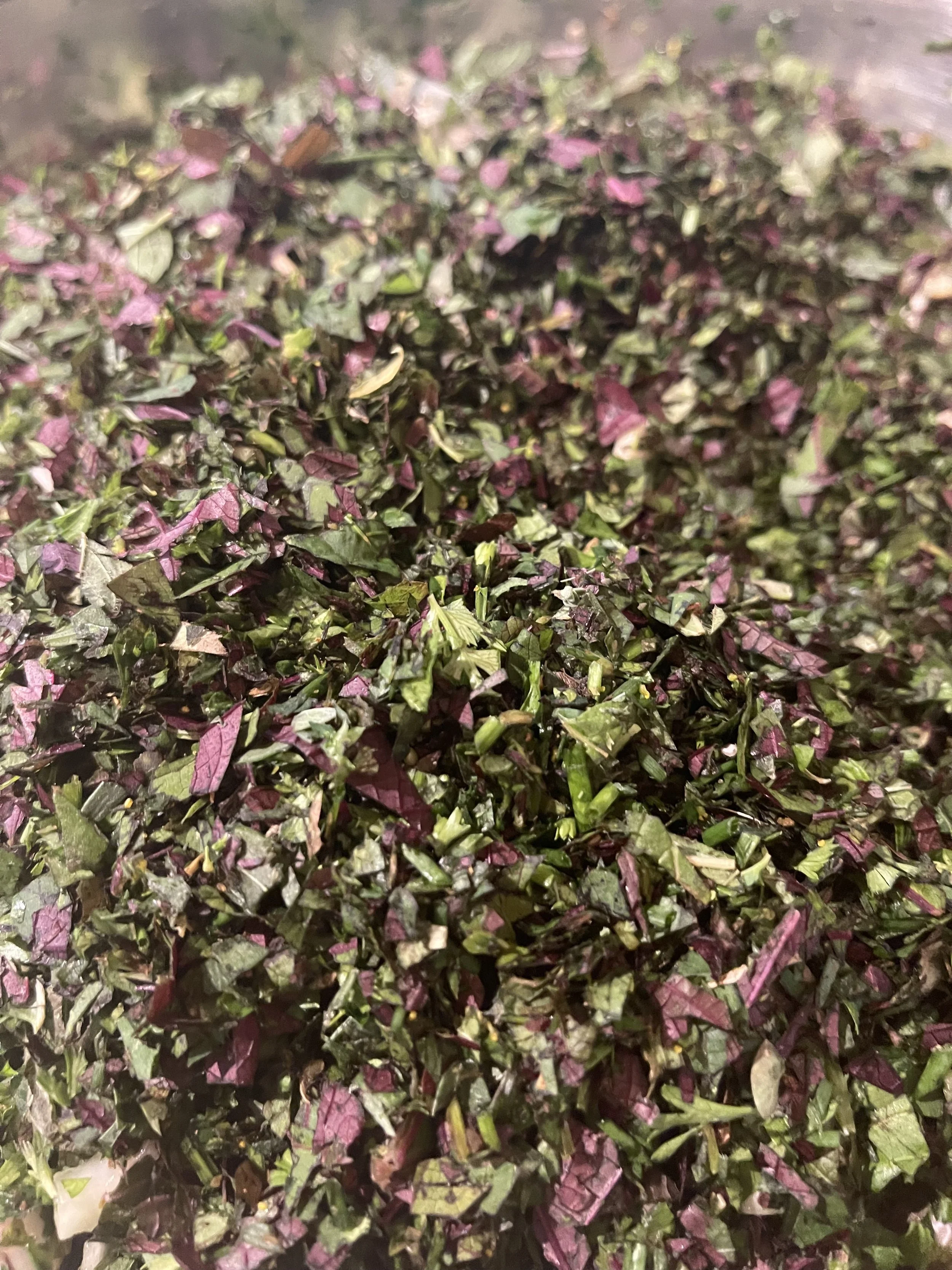 Fresh Cut Herb Getting Fine Shisho.jpg