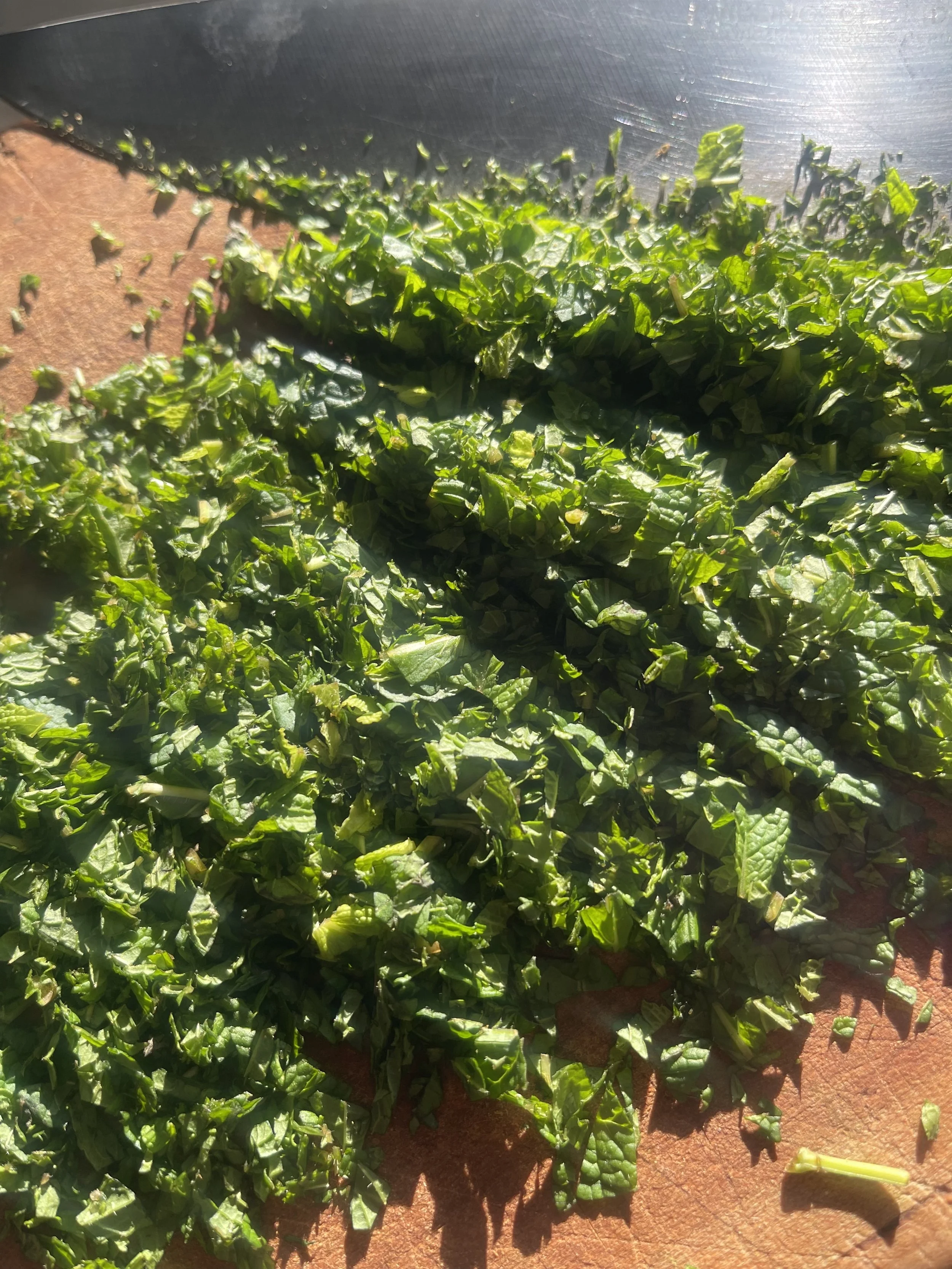 Making Sanctuary Recipes Cut Wild Foraged Mint.jpg