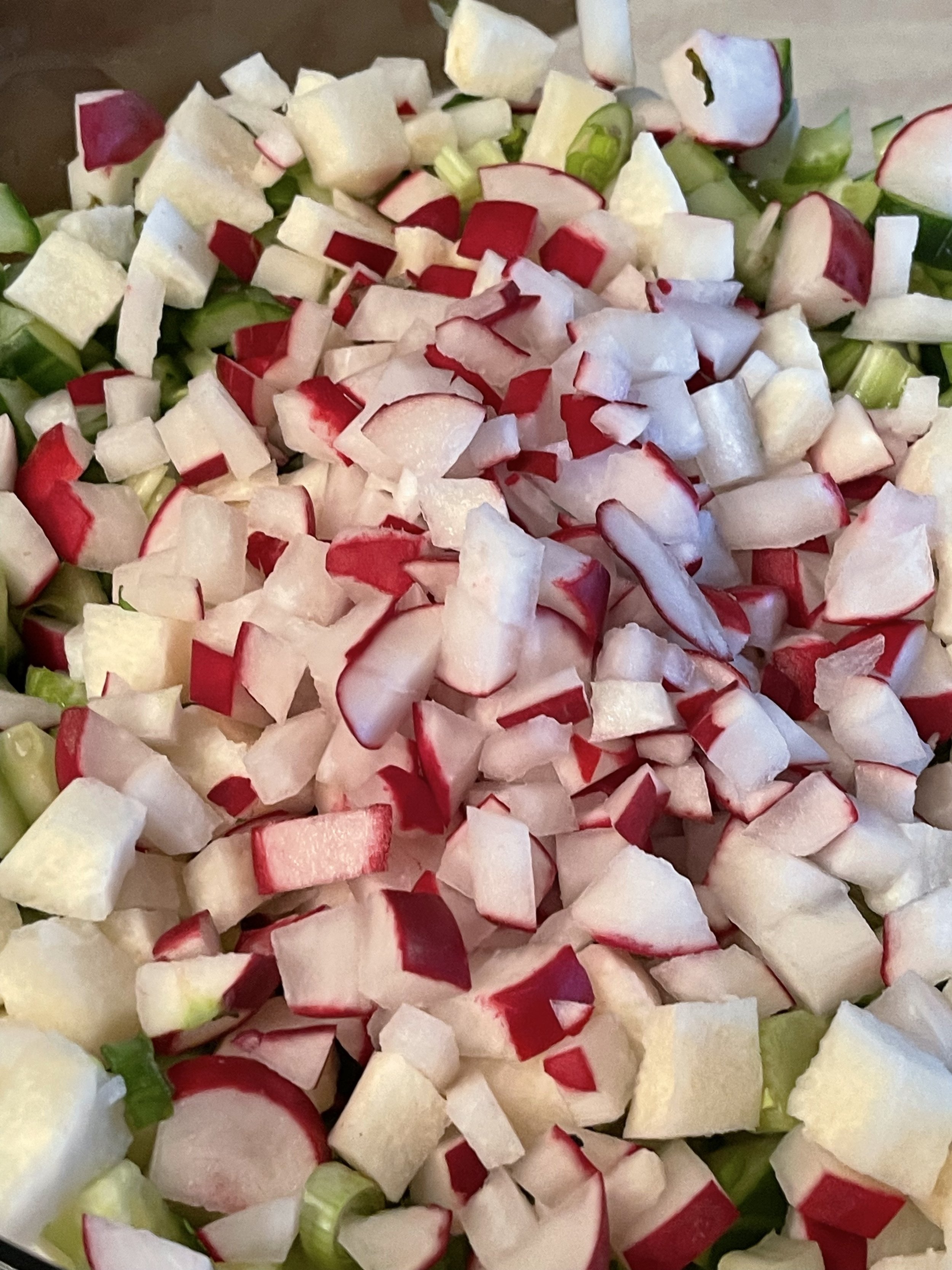 Making Sanctuary Recipes for Meditation Enhancement  Raddish Colors hit Different New Consciousness of Colors Present.jpg