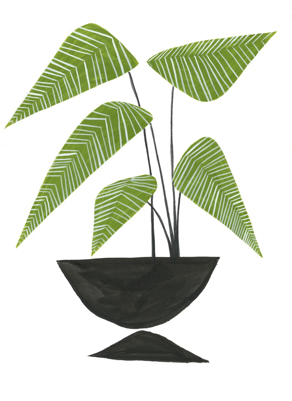 kalda_green_plant_cc.jpg