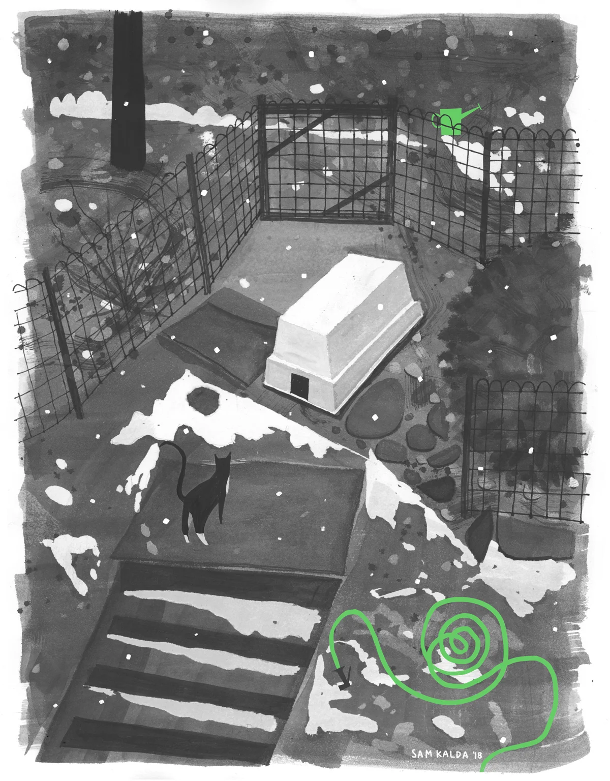 kalda_cat_backyard_final.jpg