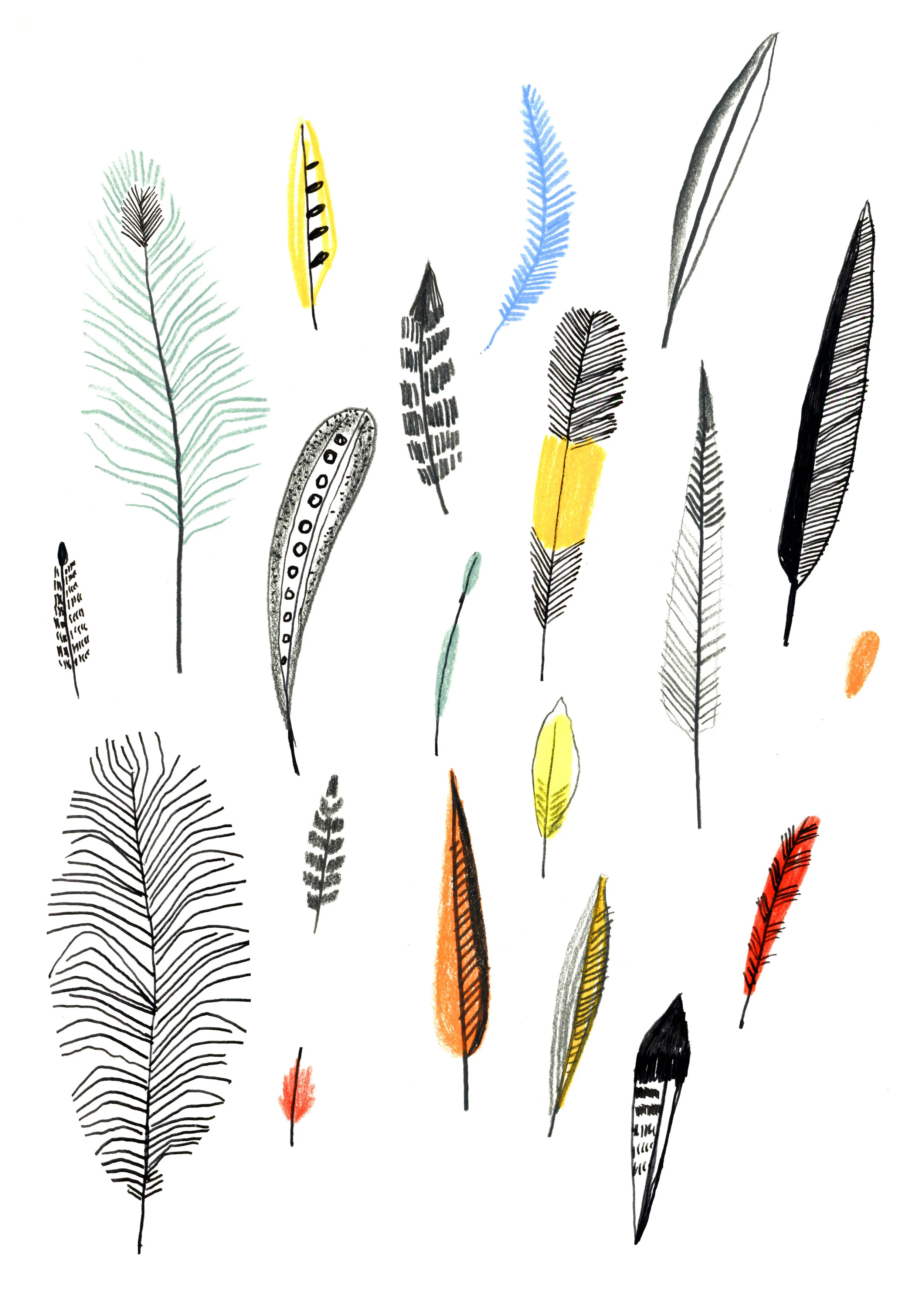 Feathers from Museum of Natural History , pencil and pen on paper, 2015