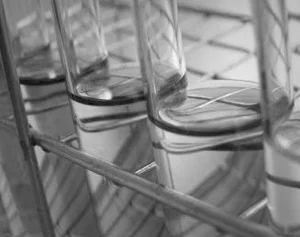 Elana Lancaster: Modern family planning