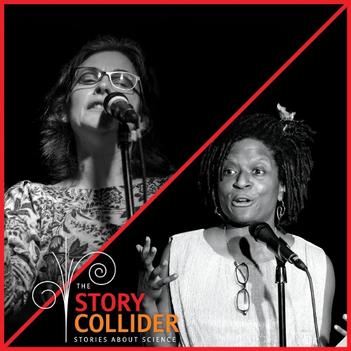 Recovery: Stories about responding to crises