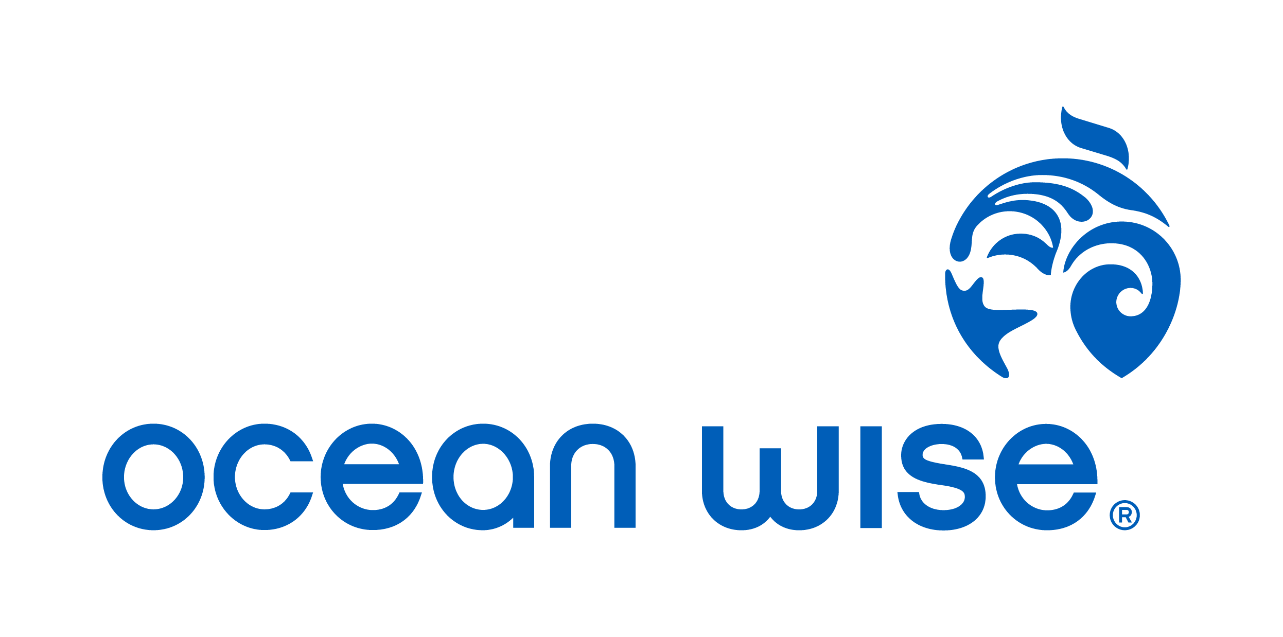 OceanWise-Logo-Horizontal-RGB - Copy.png