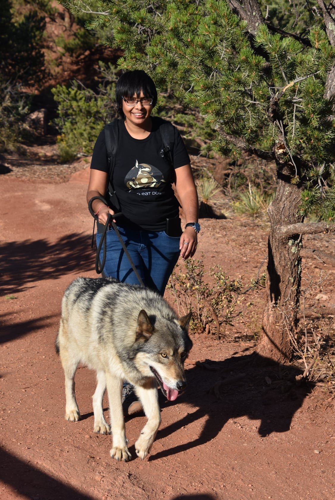  Dhruti walking a wolfdog in Colorado.  