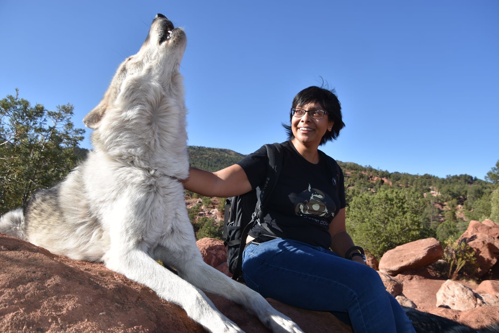  Dhruti with a howling high-content wolfdog. 