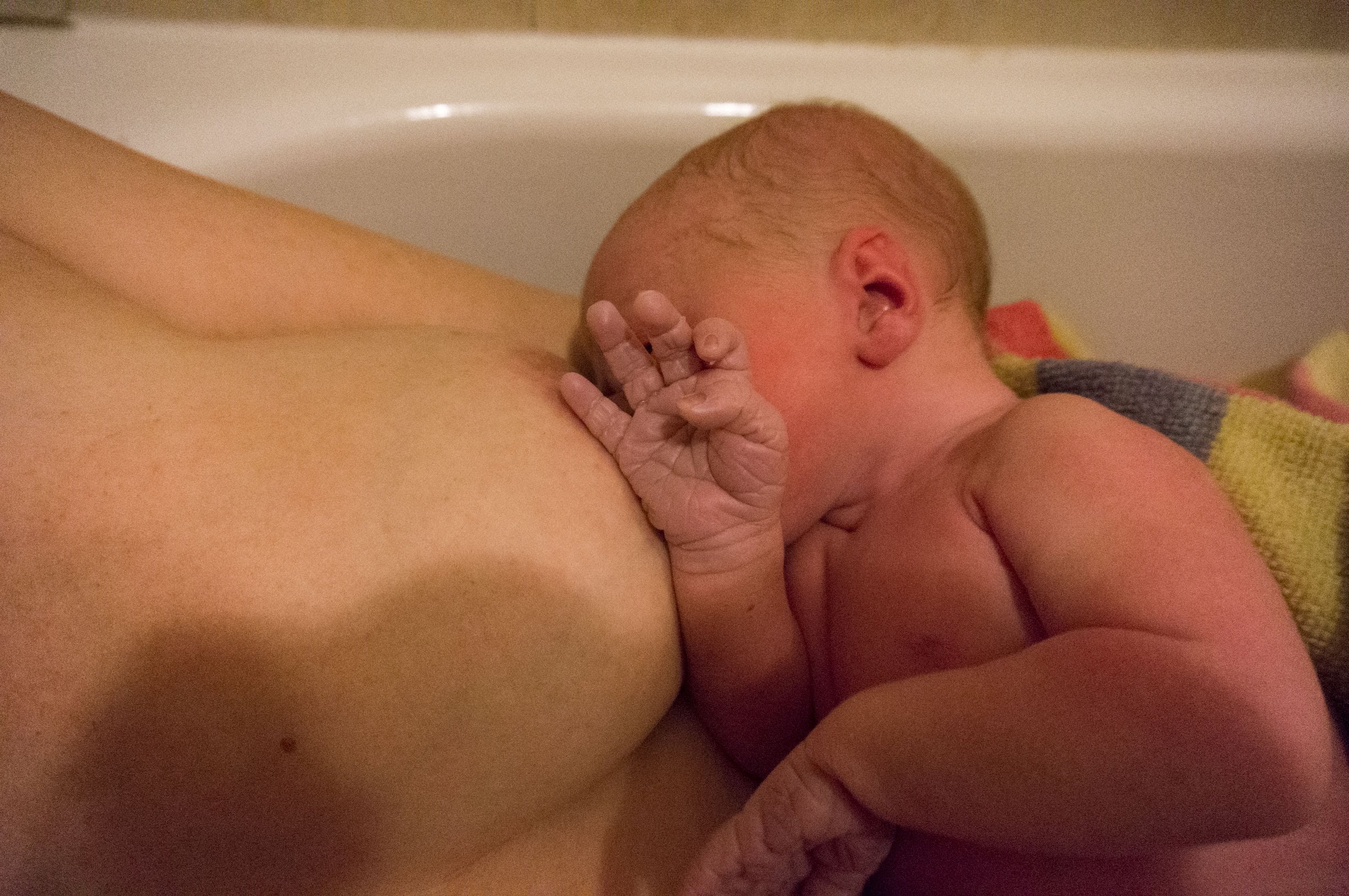  Julia Whitehouse and new baby Domino in the bathtub. Photo courtesy of Julia Whitehouse.  