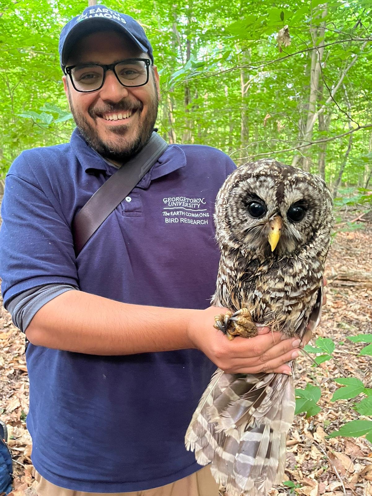  “While trying to catch and band robins, we sometimes get other things in the nets, including this amazing barred owl.&nbsp; This also happened to be my 35th birthday so it ended up being an amazing day.&nbsp; You don't get to hold an owl every day, 