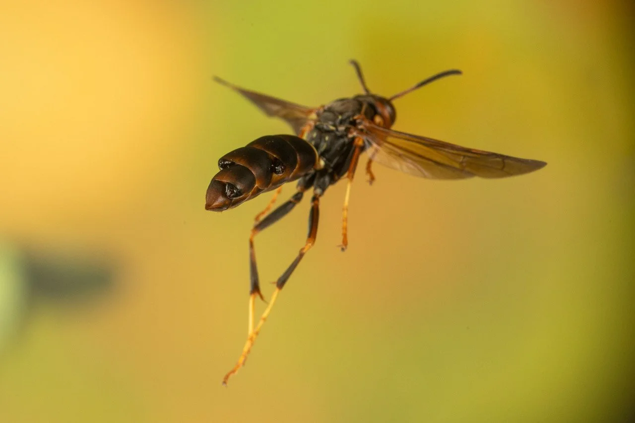 Taking You With Me: Stories about precious memories — The Story Collider