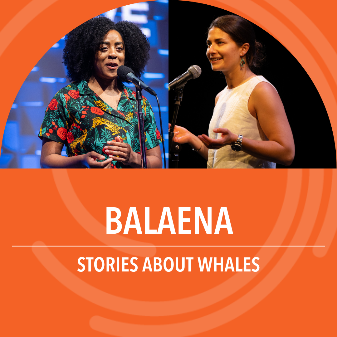Balaena: Stories about whales