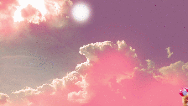 HE WEI_HE AND HU_2016-8.gif