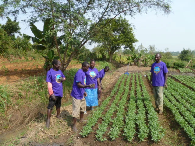 Cooperative Irrigation Plot