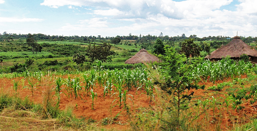 Typical farm before training