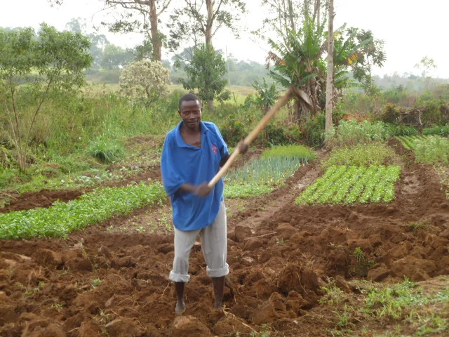 Irrigation Plot