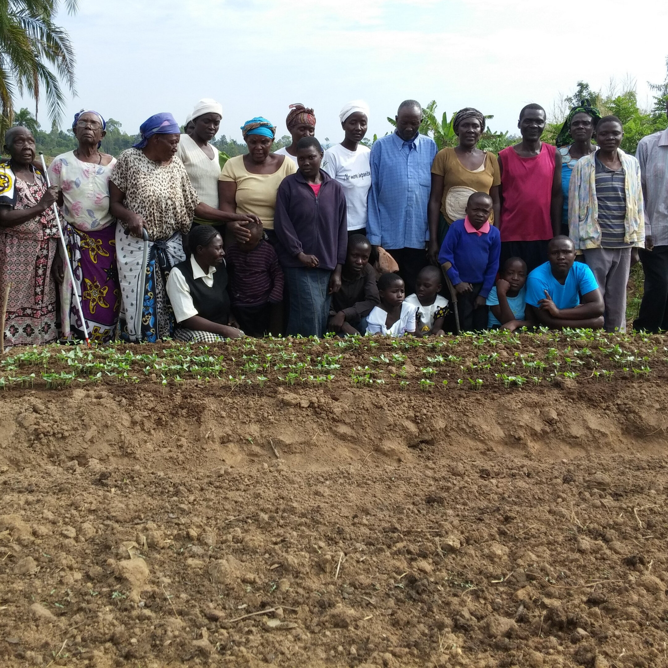 Families with disabilities' raised-bed vegetables.