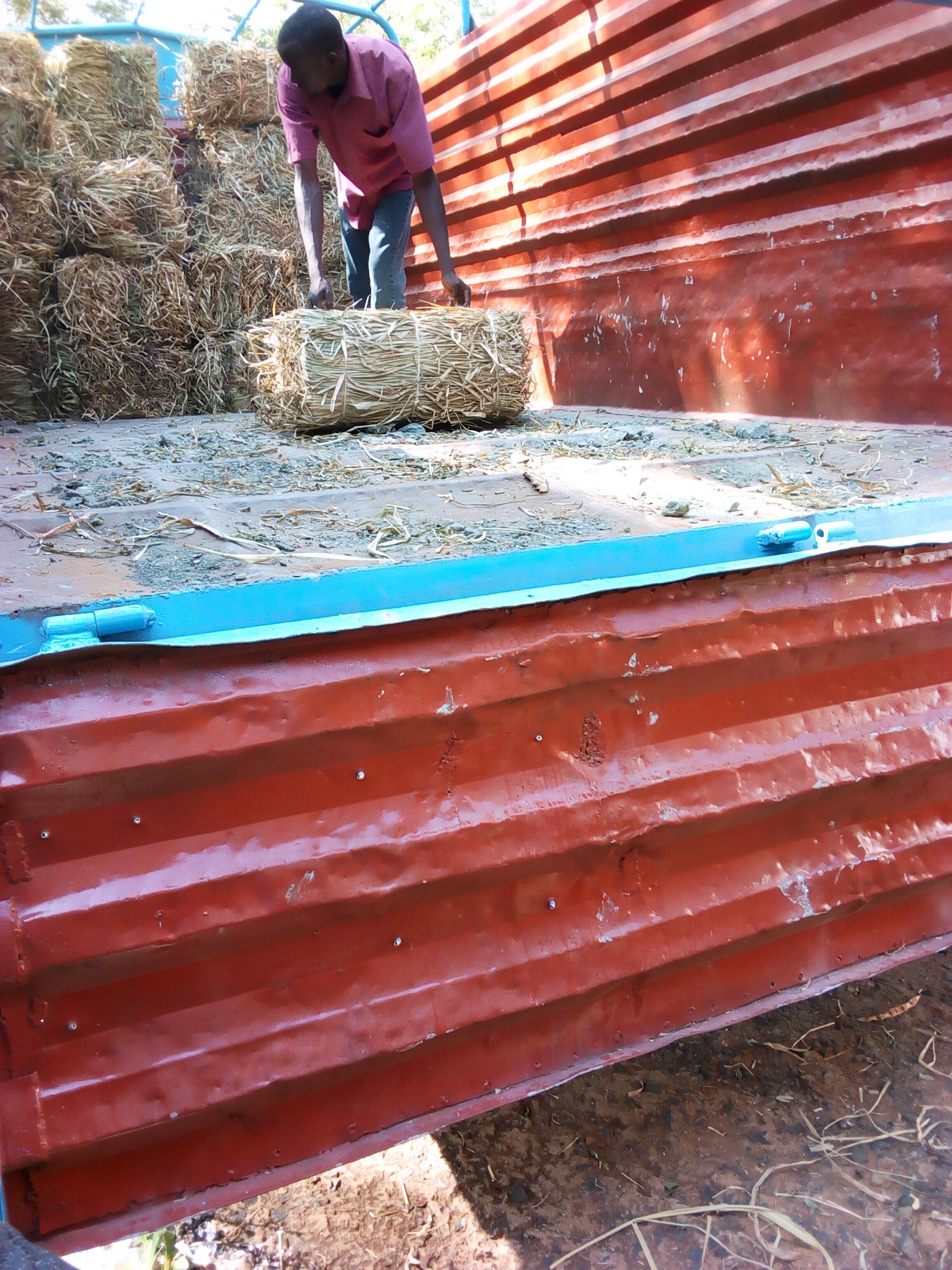 Hay being loaded for market. 