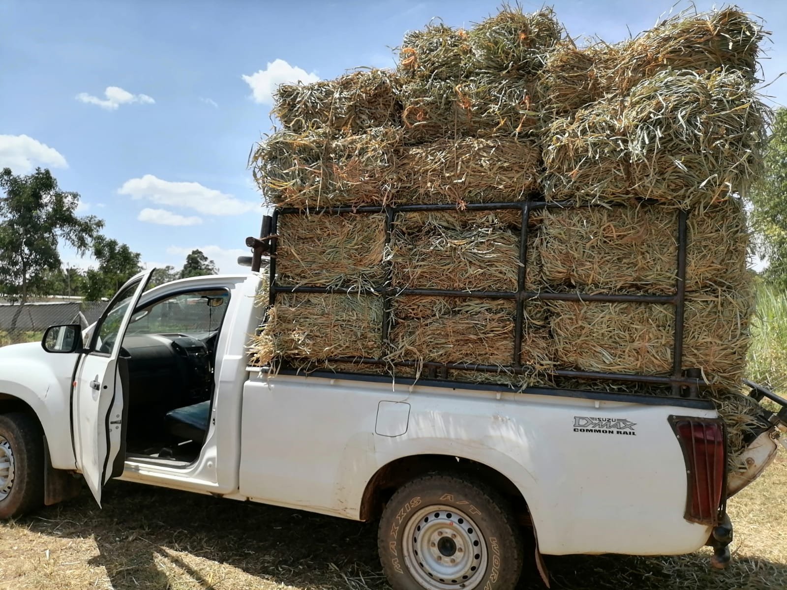 Truck loaded with Hay