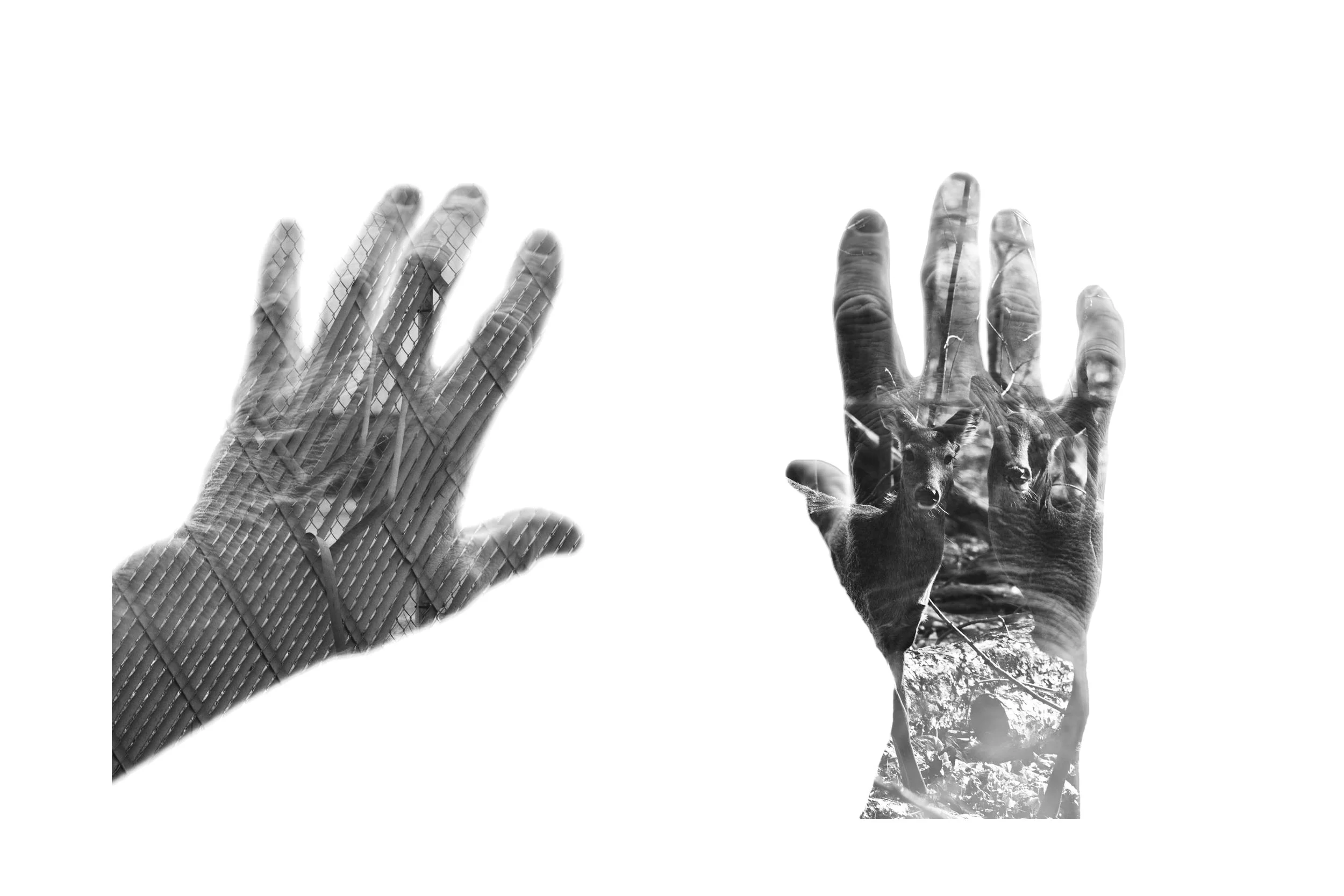  Blocking  It’s In Our Hands   Zine, page 3  